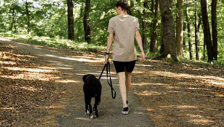Kvinna promenerar med sin hund i en grönskande park